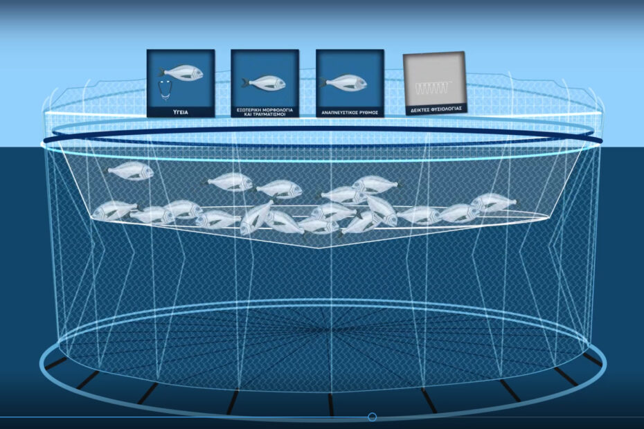 Illustration fish farm