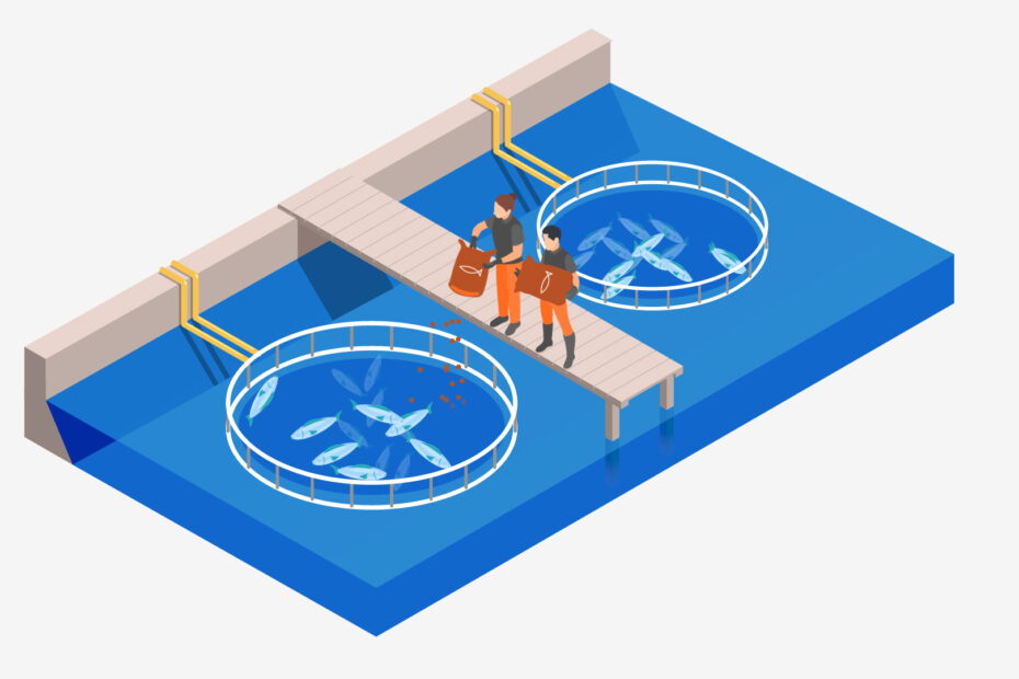 FeedingScene-0-00-04-11[1]